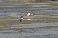 13 04 12_9379_edited-1